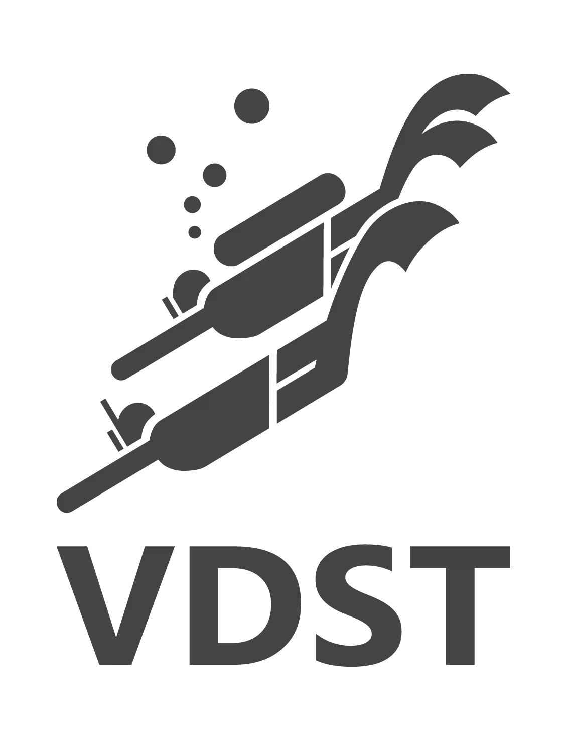 Logo VDST